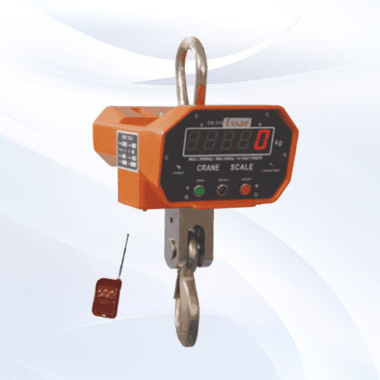 ds-315-electronic-essae-crane-scale